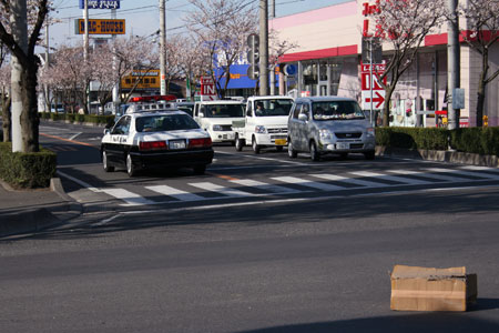 ダンボール箱を気にせず通り過ぎるパトカー