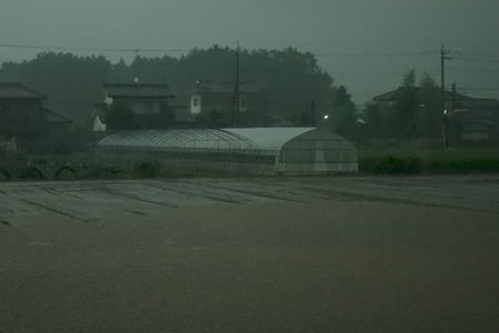 ゲリラ豪雨で水田のようになった畑 [2009年8月7日撮影]