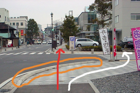 合同庁舎近くの歩道 [2010年2月24日撮影]