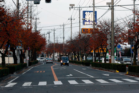 下岡崎の紅葉 [2010年11月21日撮影]