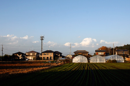 栃木方面に見えた怪しげな入道雲 [2010年12月3日撮影]