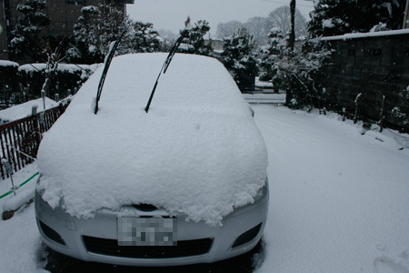 車に積もった雪 [2012年2月29日撮影]
