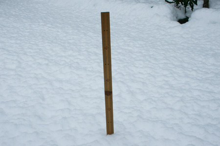 14時現在、筑西市野殿の積雪はちょうど10cm [2012年2月29日撮影]