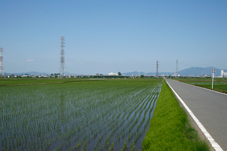 田植えを終えた田園風景 [2012年5月19日撮影]