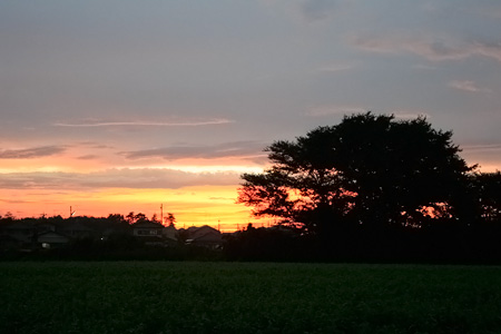 きれいな夕日 [2012年9月6日撮影]