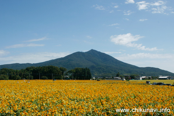 宮山地区からの筑波山 [2012年9月7日撮影]