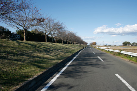 勤行川サイクリングロード下の道路 [2012年11月18日撮影]