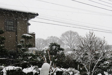 予報が外れ、思いの外多かった降雪の様子 [2013年1月14日撮影]