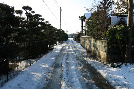 予報が外れ、思いの外多かった積雪の様子 [2013年1月15日朝撮影]