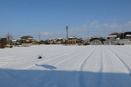 予報が外れ、思いの外多かった積雪の様子 [2013年1月15日朝撮影]