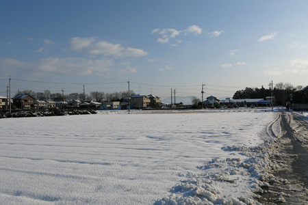 予報が外れ、思いの外多かった積雪の様子 [2013年1月15日朝撮影]