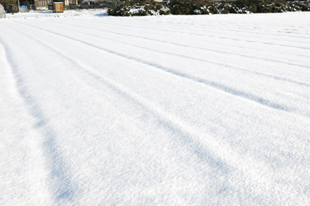 予報が外れ、思いの外多かった積雪の様子 [2013年1月15日朝撮影]