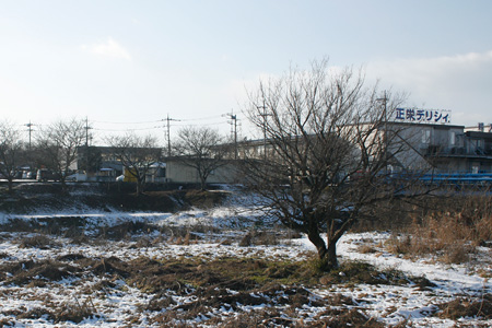 大谷川河川敷 [2013年1月15日午後撮影]