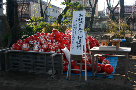 羽黒神社に例年同様積み上げられていただるま [2013年1月20日撮影]