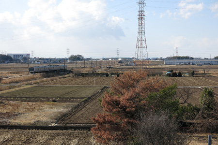 神明大橋の上から撮った田園風景 [2013年1月25日撮影]