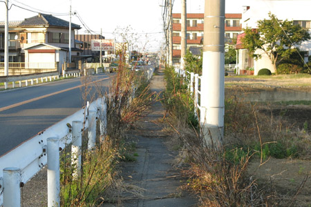 雑草が伸び過ぎた南中そばの歩道 [2013年10月28日撮影]