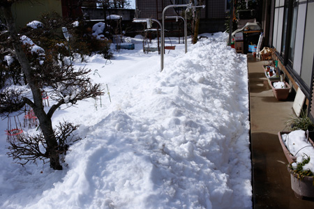 アルプス山脈状態になった屋根から落ちた雪 [2014年2月9日撮影]