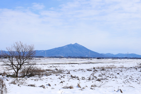 筑波山 [2014年2月9日撮影]