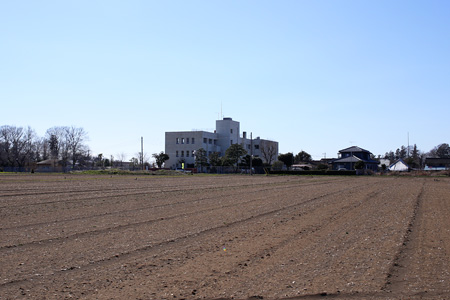 結城市の上山川小 [2014年3月22日撮影]