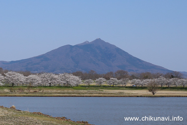 母子島遊水地から望む筑波山 [2014年4月7日撮影]