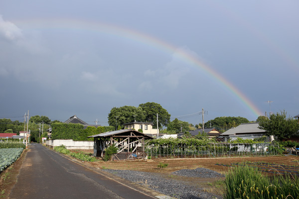 雷雨が去った後、東の空に出た虹 [2014年6月13日17時16分頃撮影]