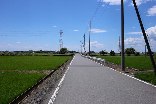水戸線の南の玉戸への抜け道 [2014年6月14日撮影]