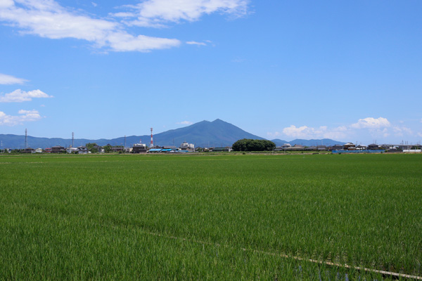 田園風景と筑波山 [2014年6月14日撮影]