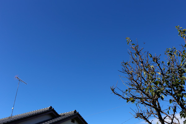 台風一過 [2014年10月6日撮影]