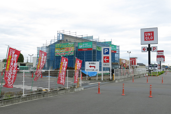 ヤマダ電機敷地内に出没したヤマダ・ウッドハウス [2015年4月21日撮影]