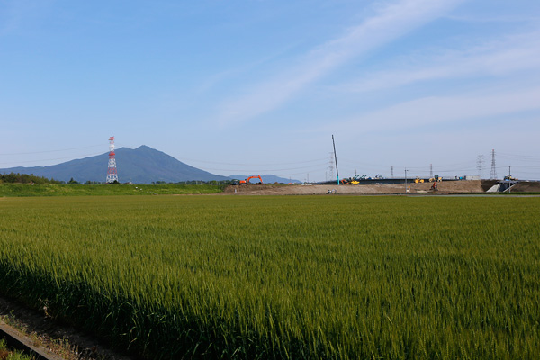 北側からの工事の様子 [2015年5月11日撮影]