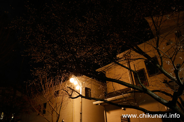 田中稲荷愛宕神社に復元されたすずらん型街路灯 [2015年12月24日撮影]