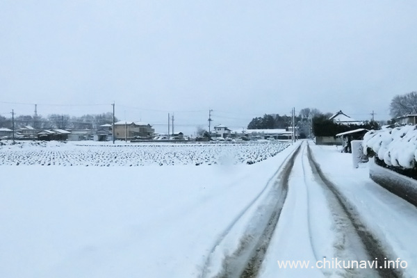 予想を越えた積雪 [2016年1月18日撮影]