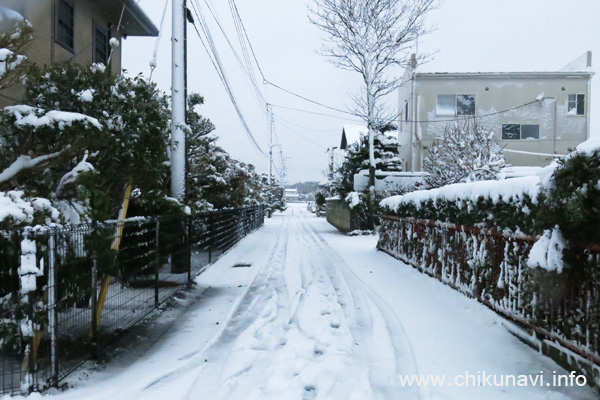 予想を越えた積雪 [2016年1月18日撮影]