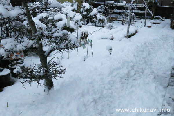 屋根から落ちた雪 [2016年1月18日撮影]