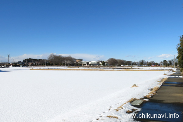 溶けずに雪が残る県西生涯学習センター南側の畑 [2016年1月19日撮影]