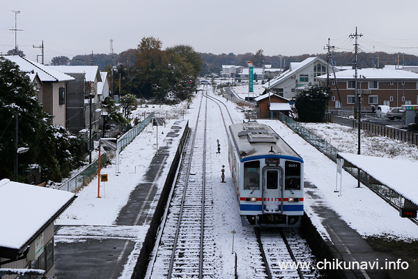 31年振りの11月の初雪 [2016年11月24日撮影]