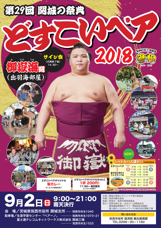 関城の祭典 どすこいペア