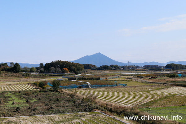 舟木橋からの筑波山 [2020年11月12日撮影]