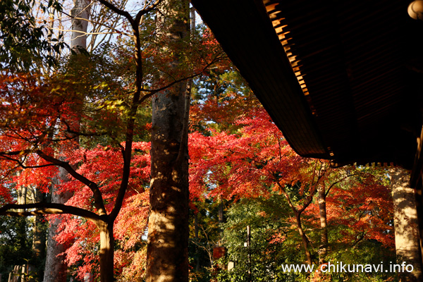 最勝寺の紅葉