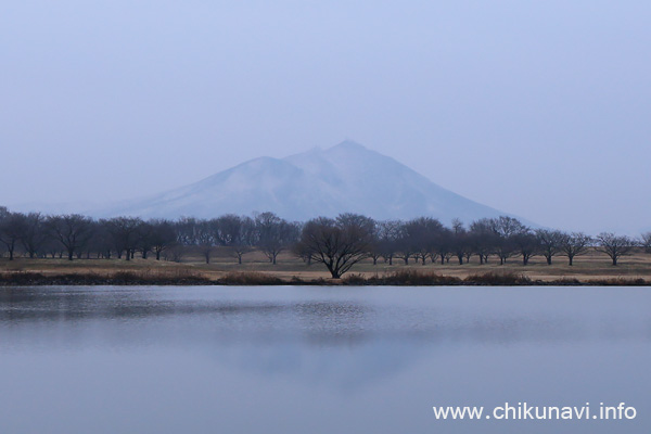 母子島遊水地からの雪化粧の筑波山 [2022年2月14日撮影]