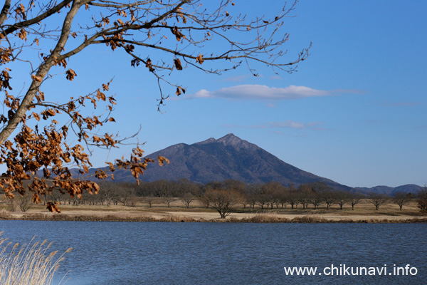 母子島遊水地からの筑波山 [2022年2月23日撮影]