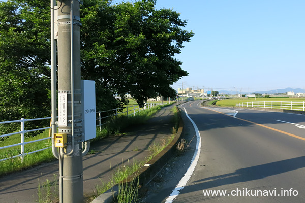 野殿橋近くの木の歩道に垂れ下がった枝 [2022年5月11日撮影]