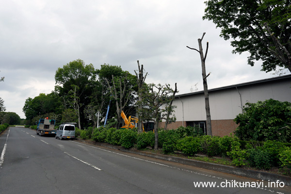 県西生涯学習センターの樹木の剪定 [2022年5月12日撮影]