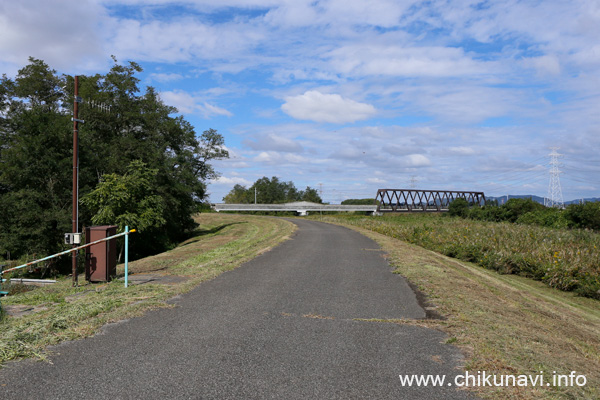 左の木がジャマな成田橋北側の小貝川西側(右岸)堤防 [2022年10月14日撮影]