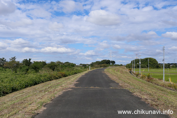 正面の鉄塔が気になる小貝川東側(左岸)堤防 [2022年10月14日撮影]