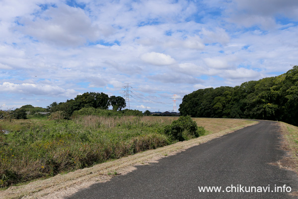 左右の木の圧迫感が半端ない小貝川東側(左岸)堤防 [2022年10月14日撮影]