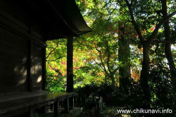 最勝寺の紅葉