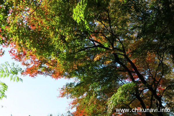 最勝寺の紅葉