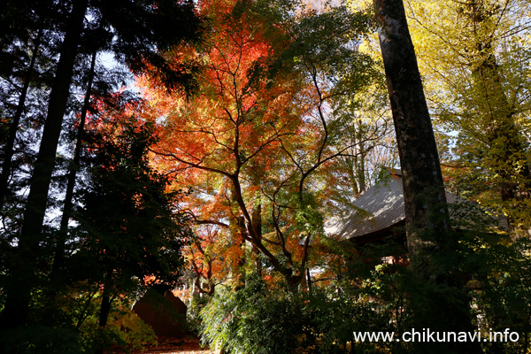 最勝寺の紅葉