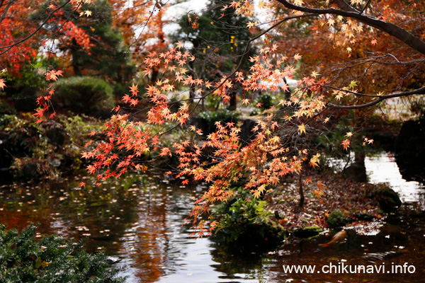 最勝寺の紅葉